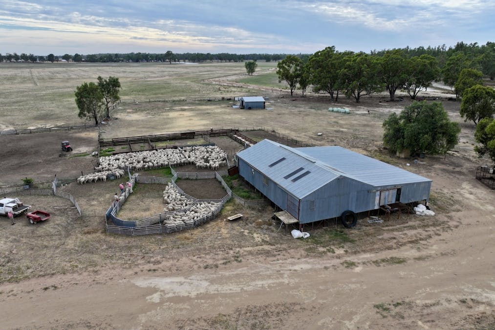 161 Frasers Road, Nathalia, VIC, 3638 - Image 22