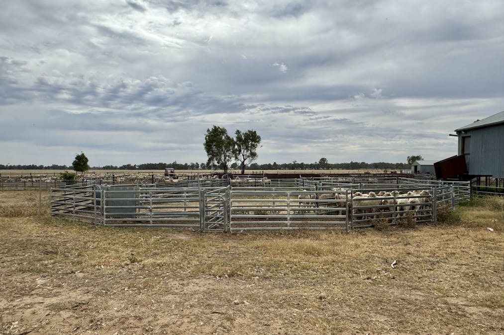 161 Frasers Road, Nathalia, VIC, 3638 - Image 20