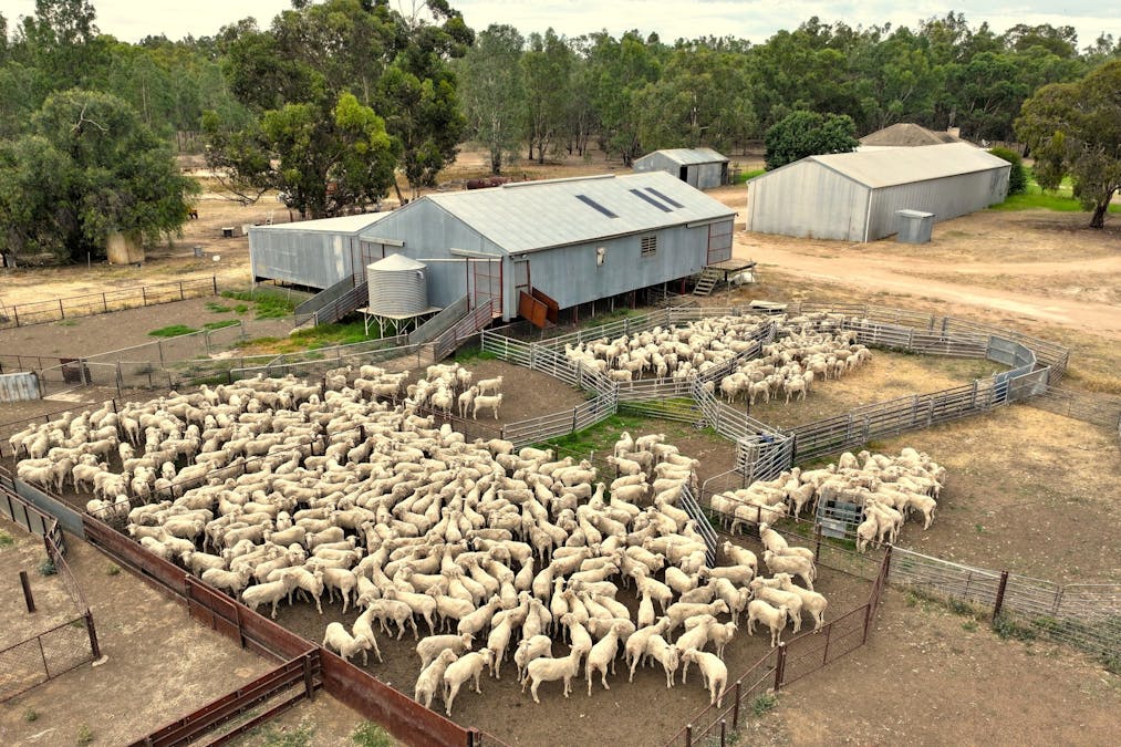 161 Frasers Road, Nathalia, VIC, 3638 - Image 6