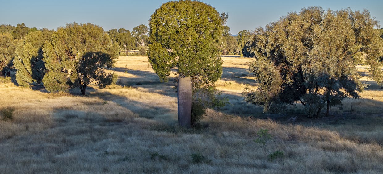 Lot 88 Flohrs Road, Dululu, QLD, 4702 - Image 13