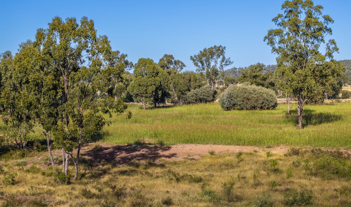 Lot 88 Flohrs Road, Dululu, QLD, 4702 - Image 14