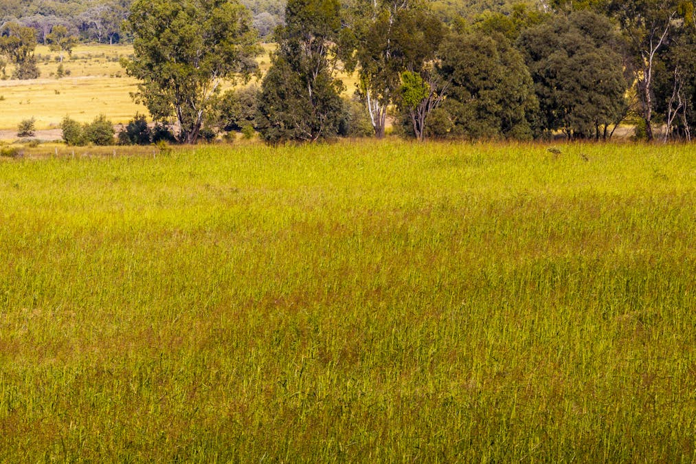 Lot 88 Flohrs Road, Dululu, QLD, 4702 - Image 7