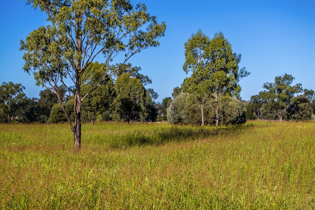 Lot 88 Flohrs Road, Dululu, QLD, 4702 - Image 16