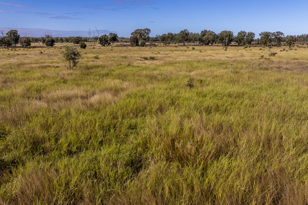 Lot 88 Flohrs Road, Dululu, QLD, 4702 - Image 18