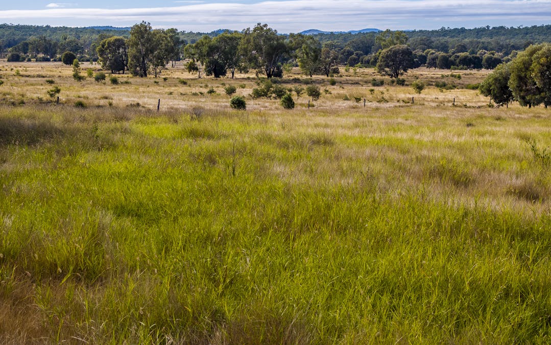 Lot 88 Flohrs Road, Dululu, QLD, 4702 - Image 19