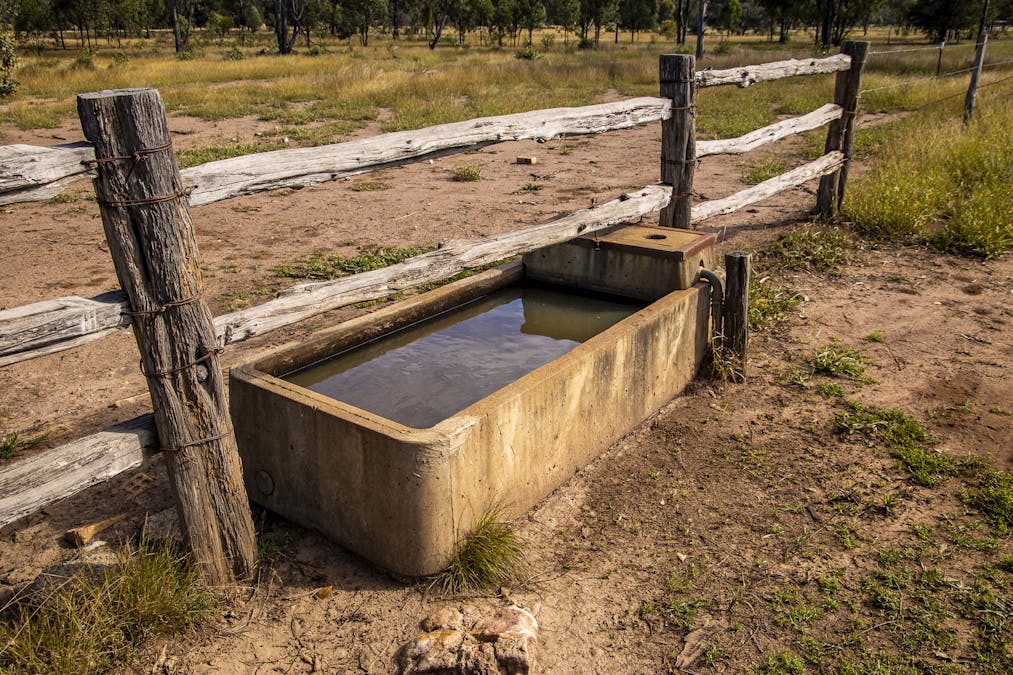 Lot 88 Flohrs Road, Dululu, QLD, 4702 - Image 20