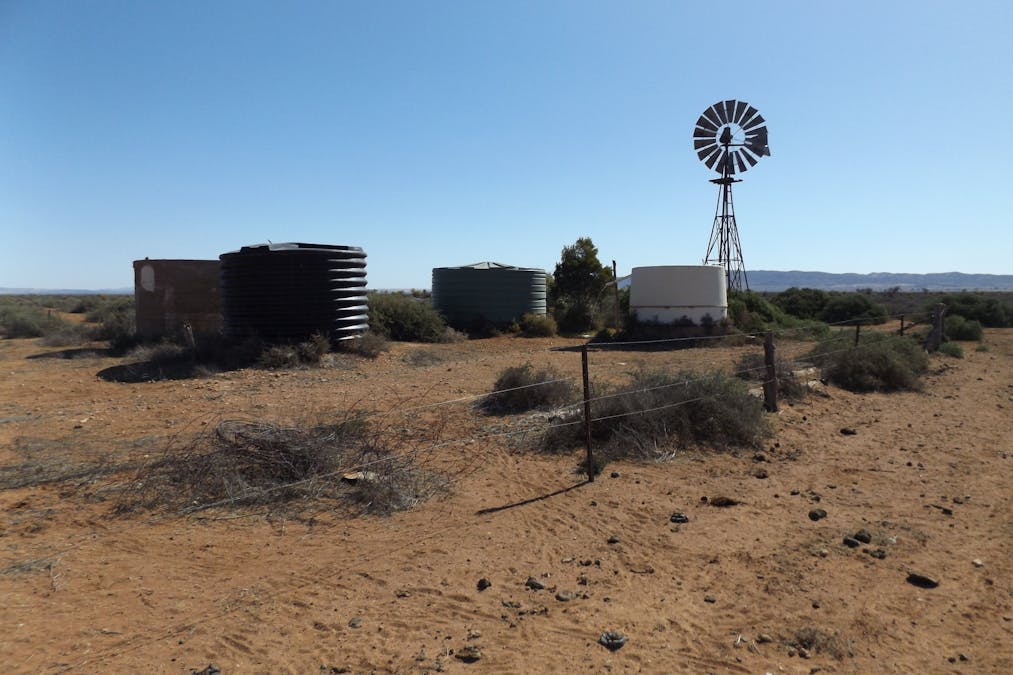 Minburra/Lynch Road, Minburra, SA, 5431 - Image 4