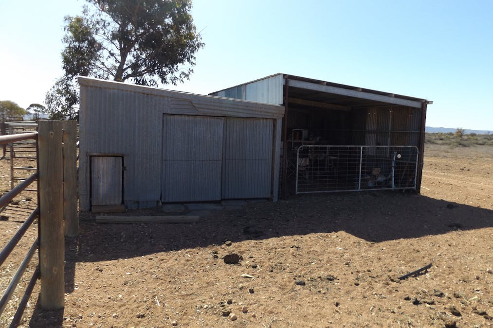 Minburra/Lynch Road, Minburra, SA, 5431 - Image 6