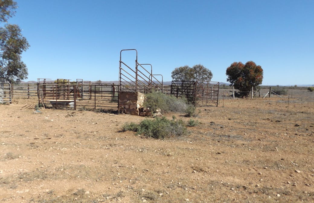 Minburra/Lynch Road, Minburra, SA, 5431 - Image 7