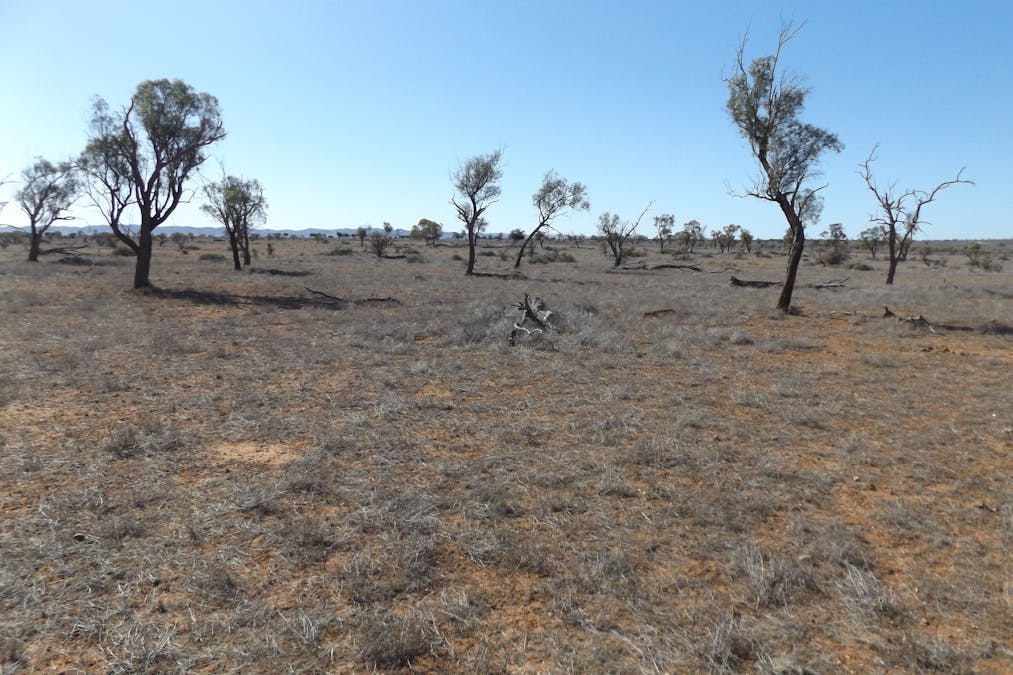 Minburra/Lynch Road, Minburra, SA, 5431 - Image 10