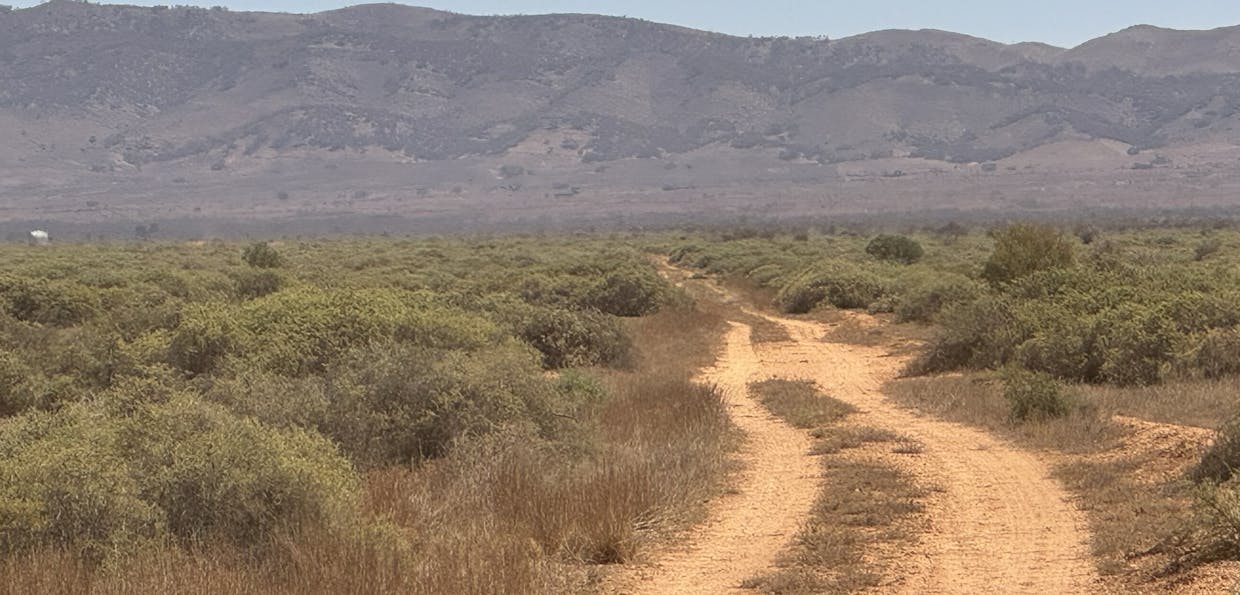 Minburra/Lynch Road, Minburra, SA, 5431 - Image 12
