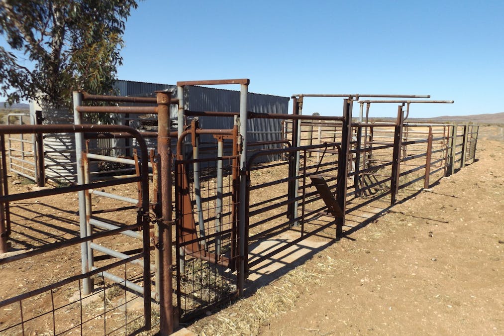 Minburra/Lynch Road, Minburra, SA, 5431 - Image 13