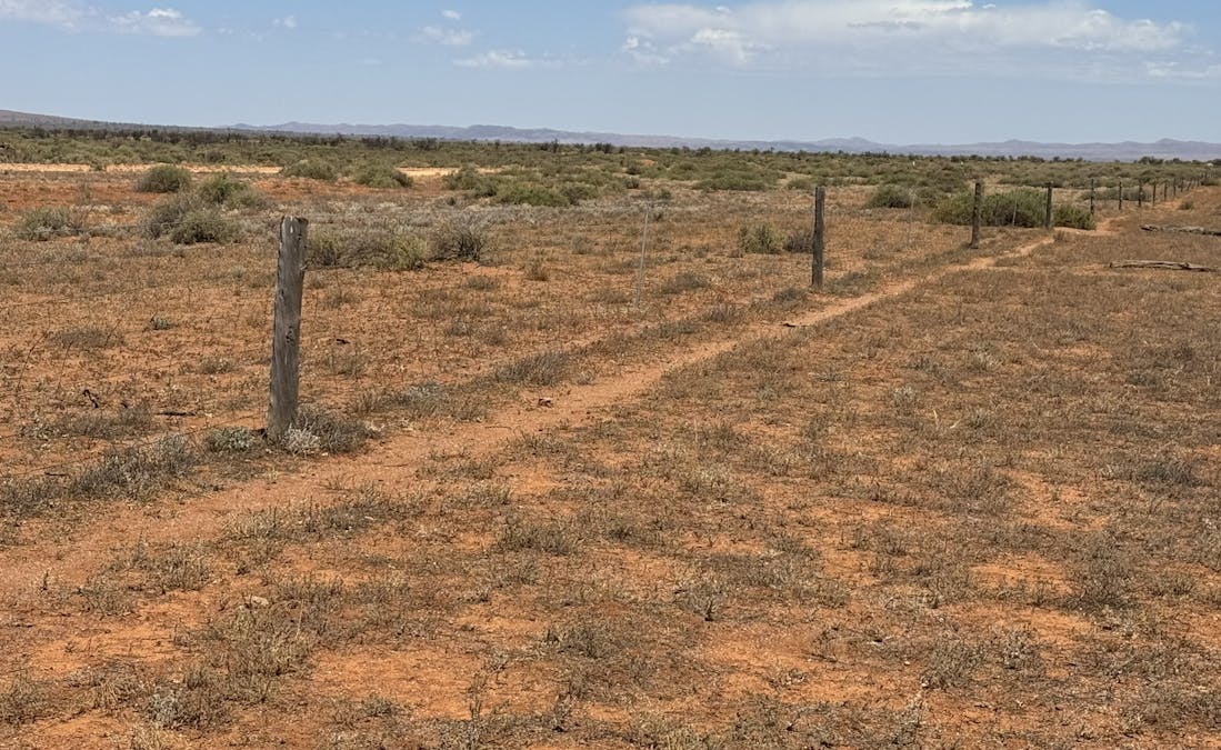Minburra/Lynch Road, Minburra, SA, 5431 - Image 19