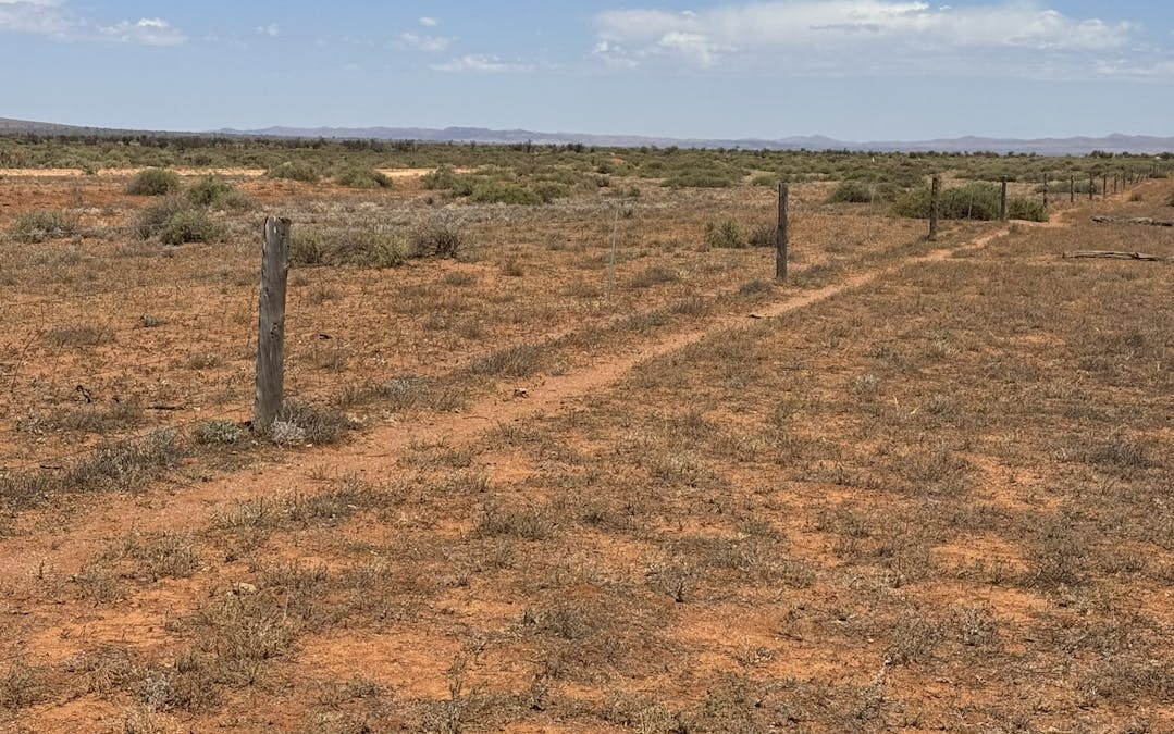 Minburra/Lynch Road, Minburra, SA, 5431 - Image 15