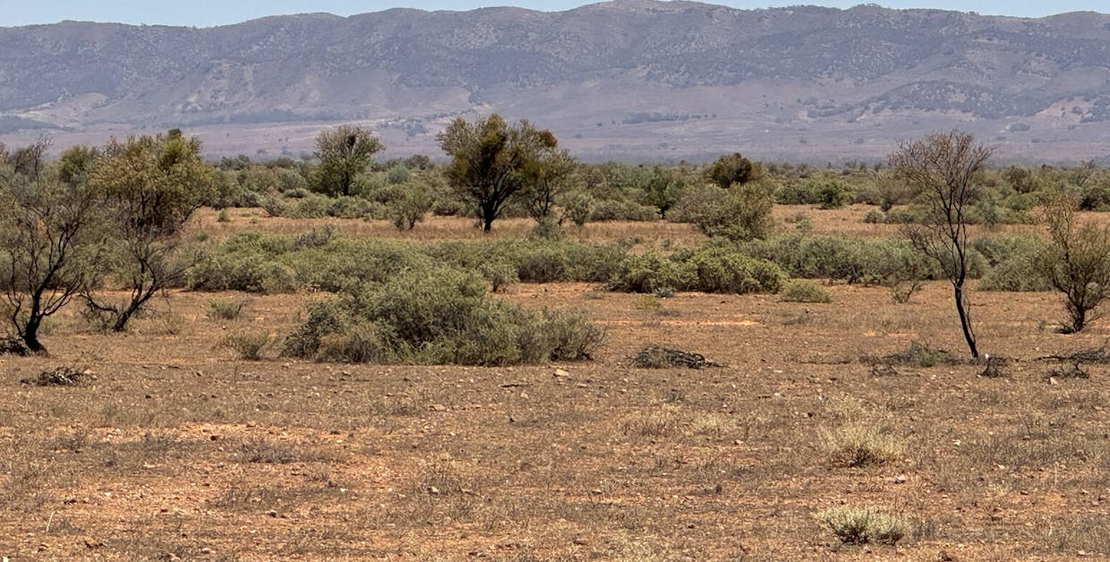 Minburra/Lynch Road, Minburra, SA, 5431 - Image 16