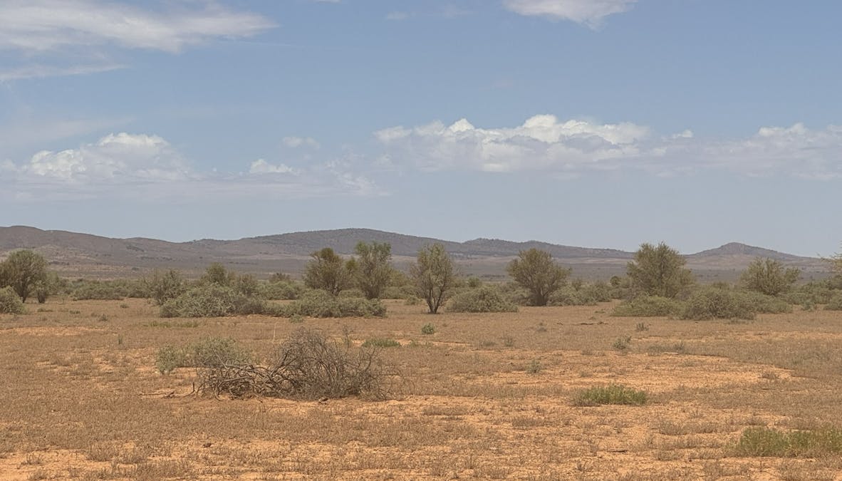Minburra/Lynch Road, Minburra, SA, 5431 - Image 17