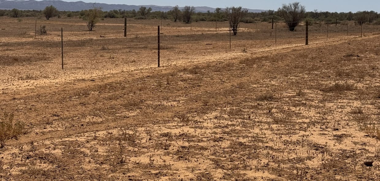 Minburra/Lynch Road, Minburra, SA, 5431 - Image 18