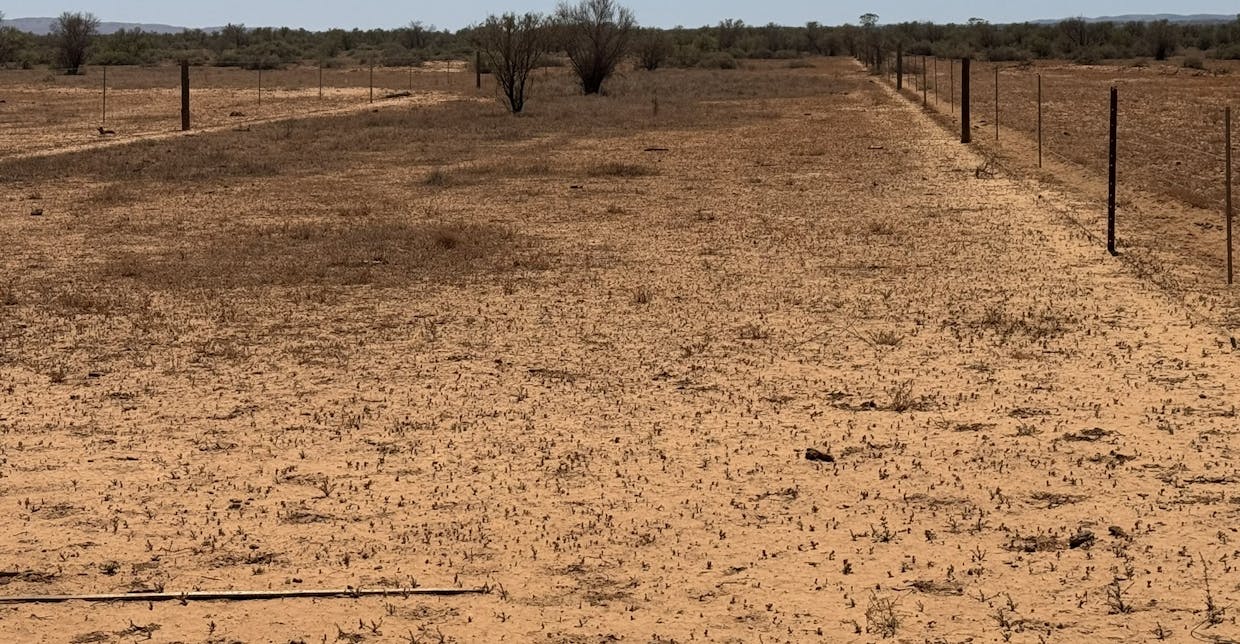 Minburra/Lynch Road, Minburra, SA, 5431 - Image 21