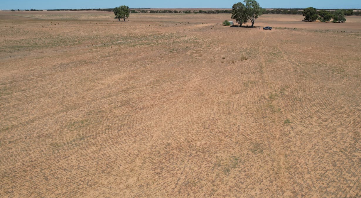 Lot 1 Stones Track & Lot 17 Kulkami Road, Karoonda, SA, 5307 - Image 3
