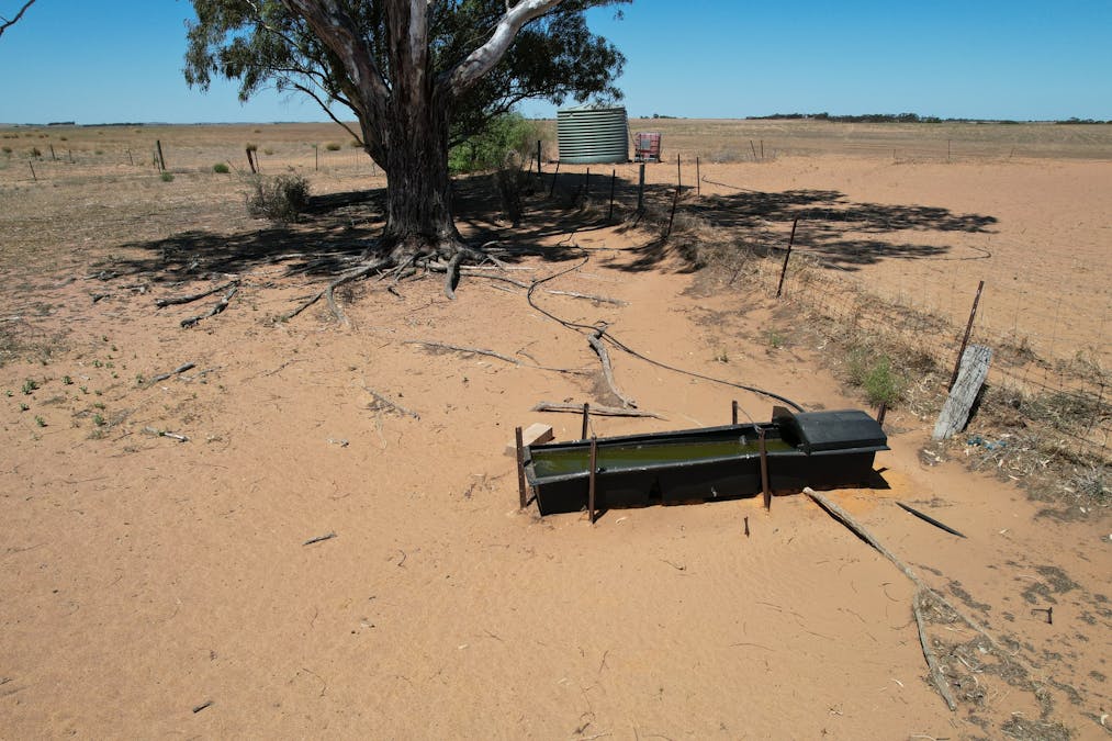 Lot 1 Stones Track & Lot 17 Kulkami Road, Karoonda, SA, 5307 - Image 6