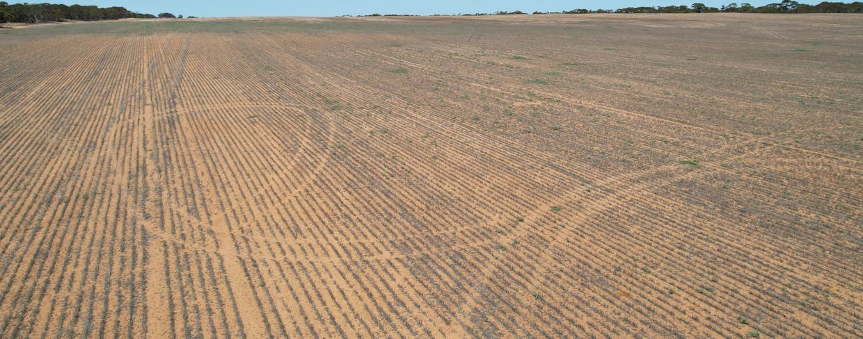 Lot 1 Stones Track & Lot 17 Kulkami Road, Karoonda, SA, 5307 - Image 7