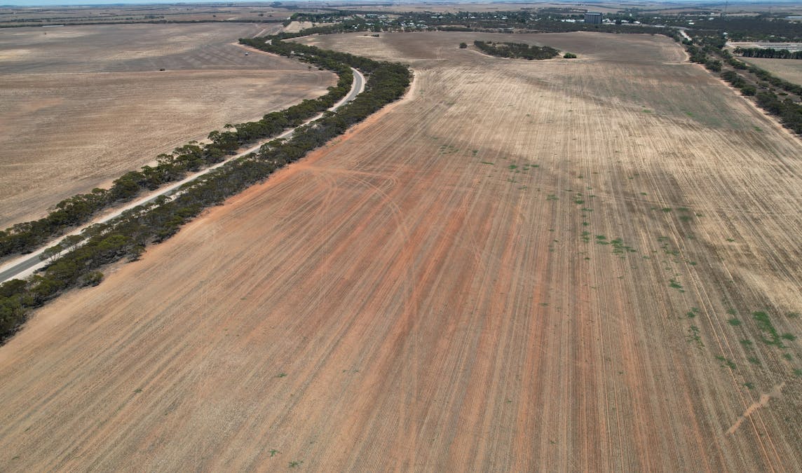 Lot 1 Stones Track & Lot 17 Kulkami Road, Karoonda, SA, 5307 - Image 9