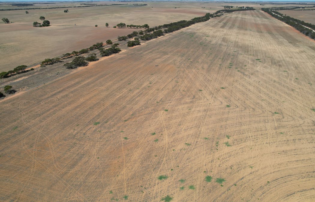 Lot 1 Stones Track & Lot 17 Kulkami Road, Karoonda, SA, 5307 - Image 13