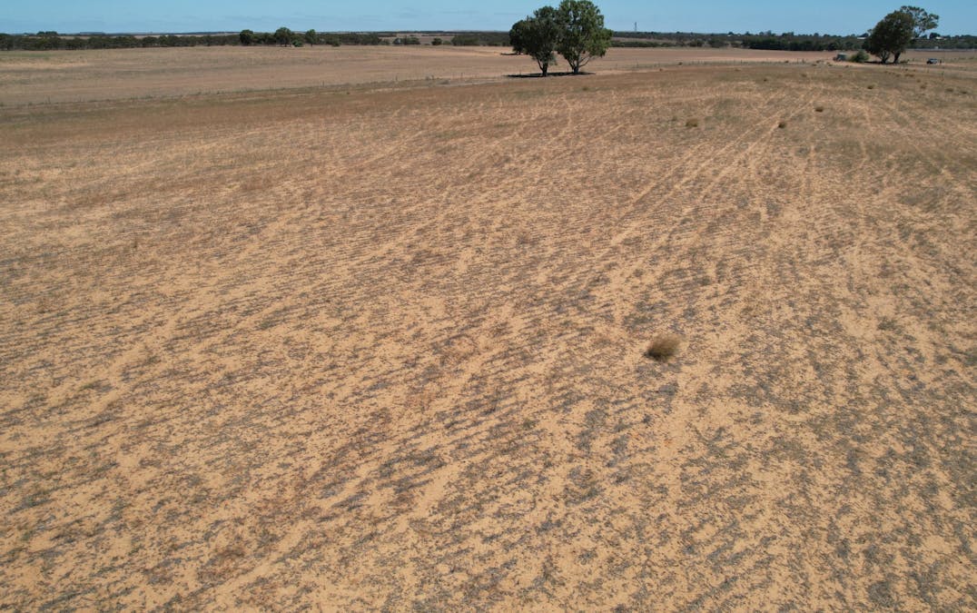 Lot 1 Stones Track & Lot 17 Kulkami Road, Karoonda, SA, 5307 - Image 5