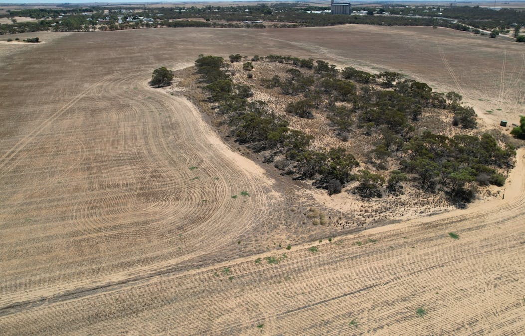 Lot 1 Stones Track & Lot 17 Kulkami Road, Karoonda, SA, 5307 - Image 11