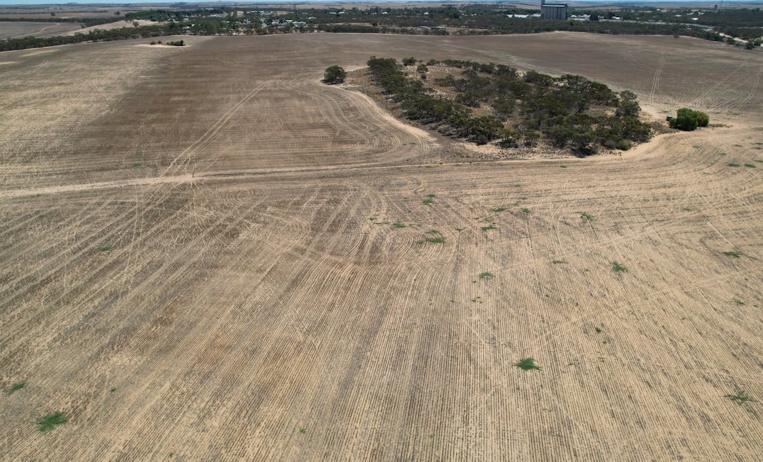Lot 1 Stones Track & Lot 17 Kulkami Road, Karoonda, SA, 5307 - Image 10
