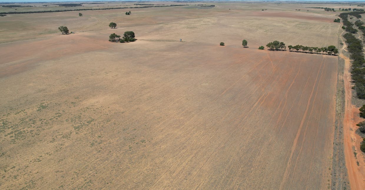 Lot 1 Stones Track & Lot 17 Kulkami Road, Karoonda, SA, 5307 - Image 14