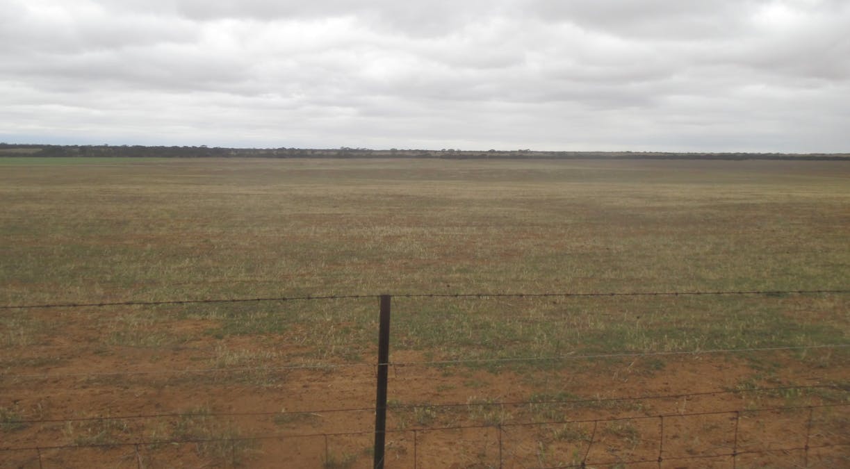 Lot 1 Stones Track & Lot 17 Kulkami Road, Karoonda, SA, 5307 - Image 15