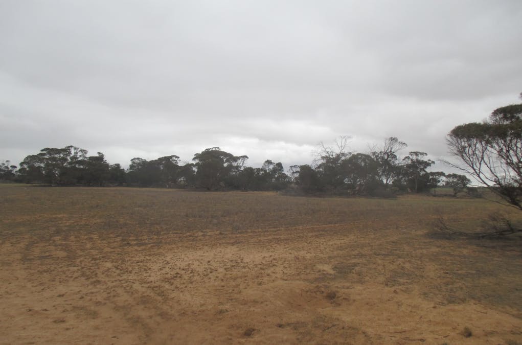Lot 1 Stones Track & Lot 17 Kulkami Road, Karoonda, SA, 5307 - Image 17