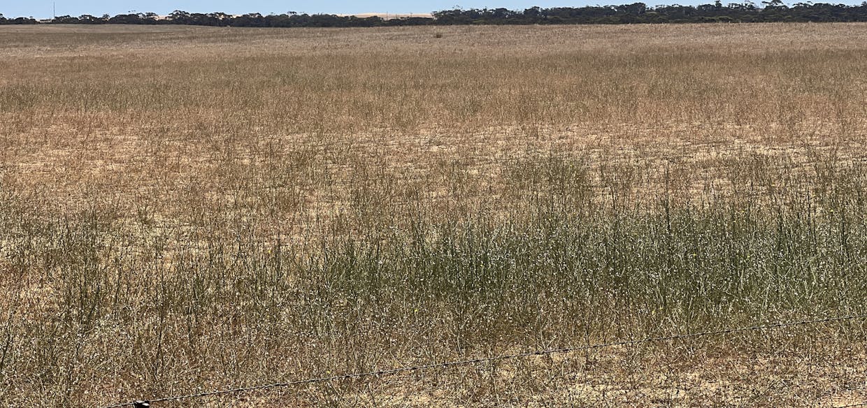 Lot 1 Stones Track & Lot 17 Kulkami Road, Karoonda, SA, 5307 - Image 18