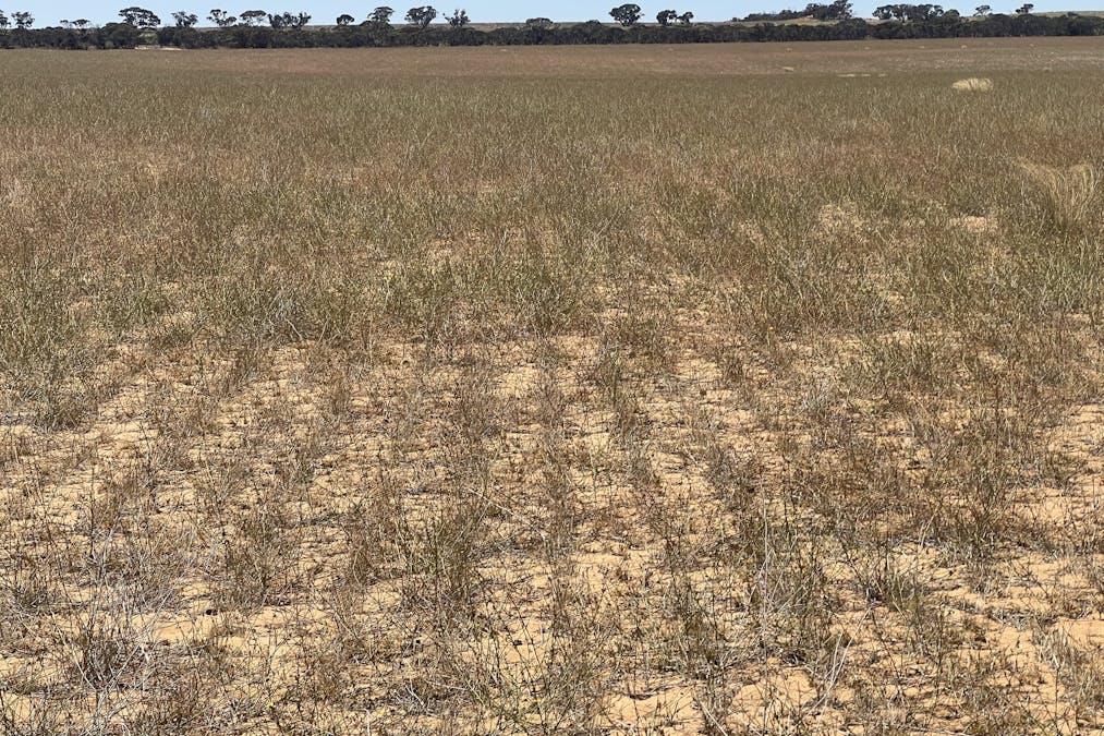 Lot 1 Stones Track & Lot 17 Kulkami Road, Karoonda, SA, 5307 - Image 19