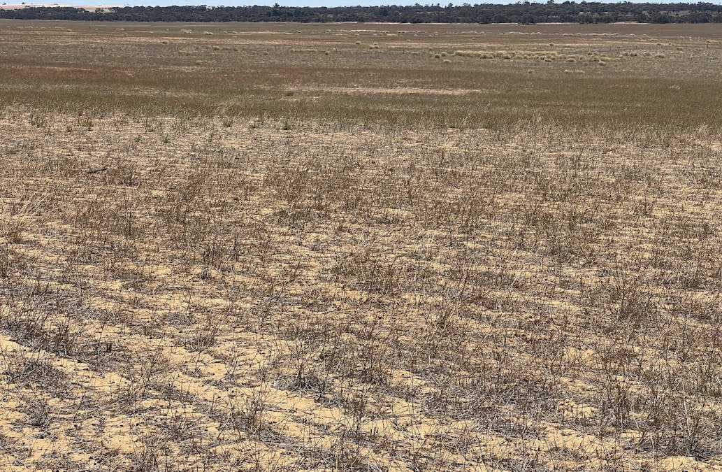 Lot 1 Stones Track & Lot 17 Kulkami Road, Karoonda, SA, 5307 - Image 20