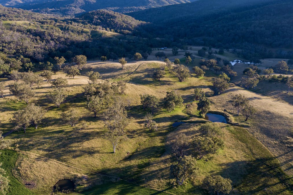 3953 Halls Creek Road, Manilla, NSW, 2346 - Image 5