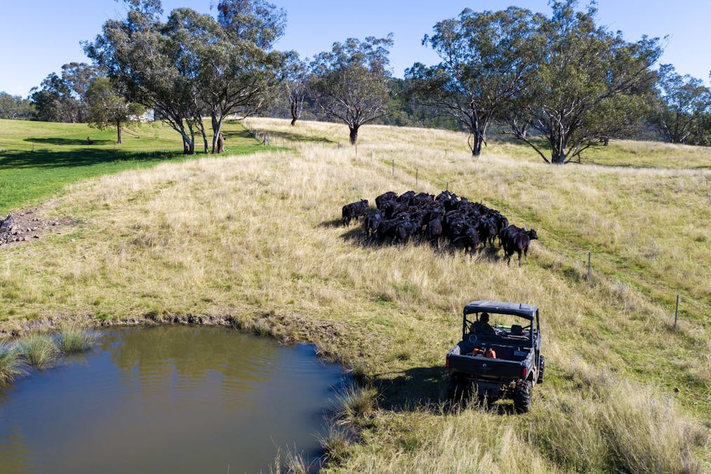 3953 Halls Creek Road, Manilla, NSW, 2346 - Image 27