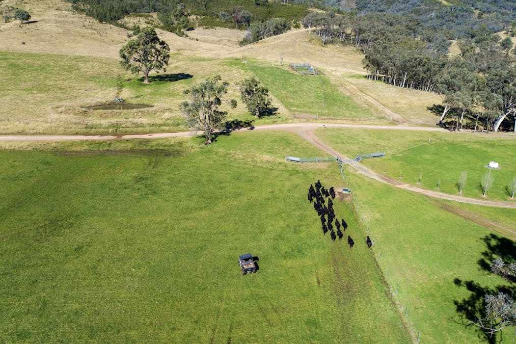 3953 Halls Creek Road, Manilla, NSW, 2346 - Image 28
