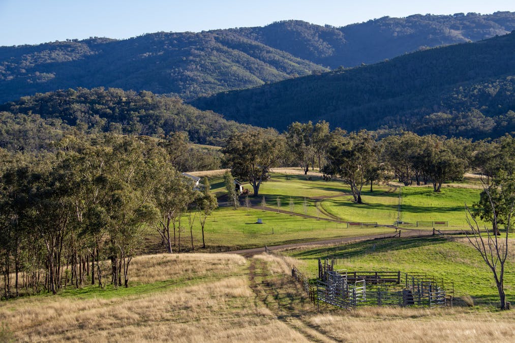 3953 Halls Creek Road, Manilla, NSW, 2346 - Image 3
