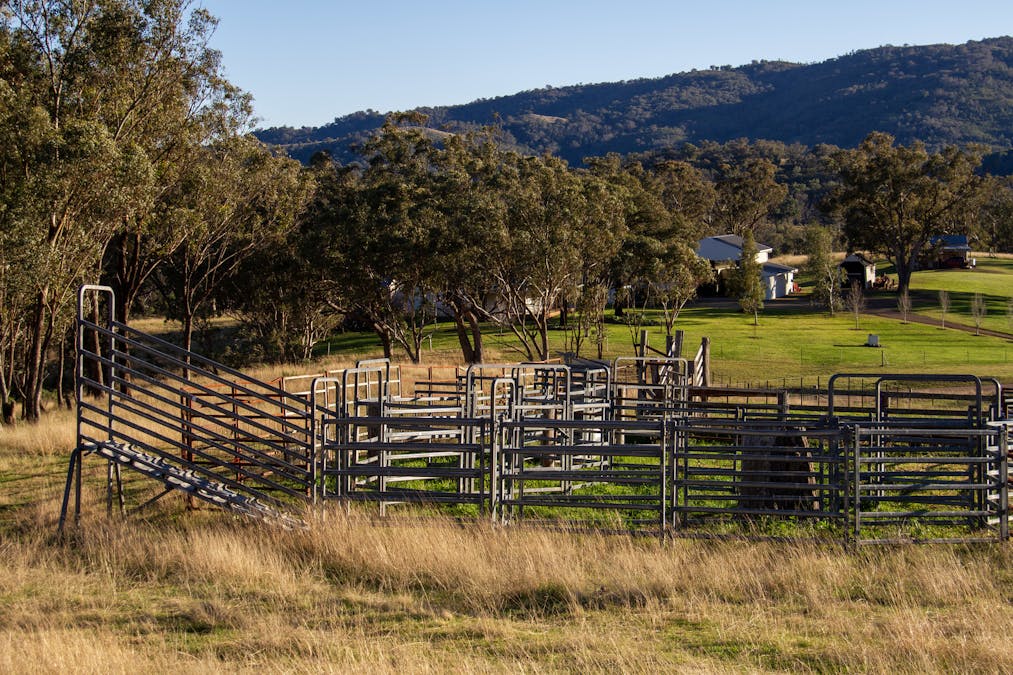 3953 Halls Creek Road, Manilla, NSW, 2346 - Image 31