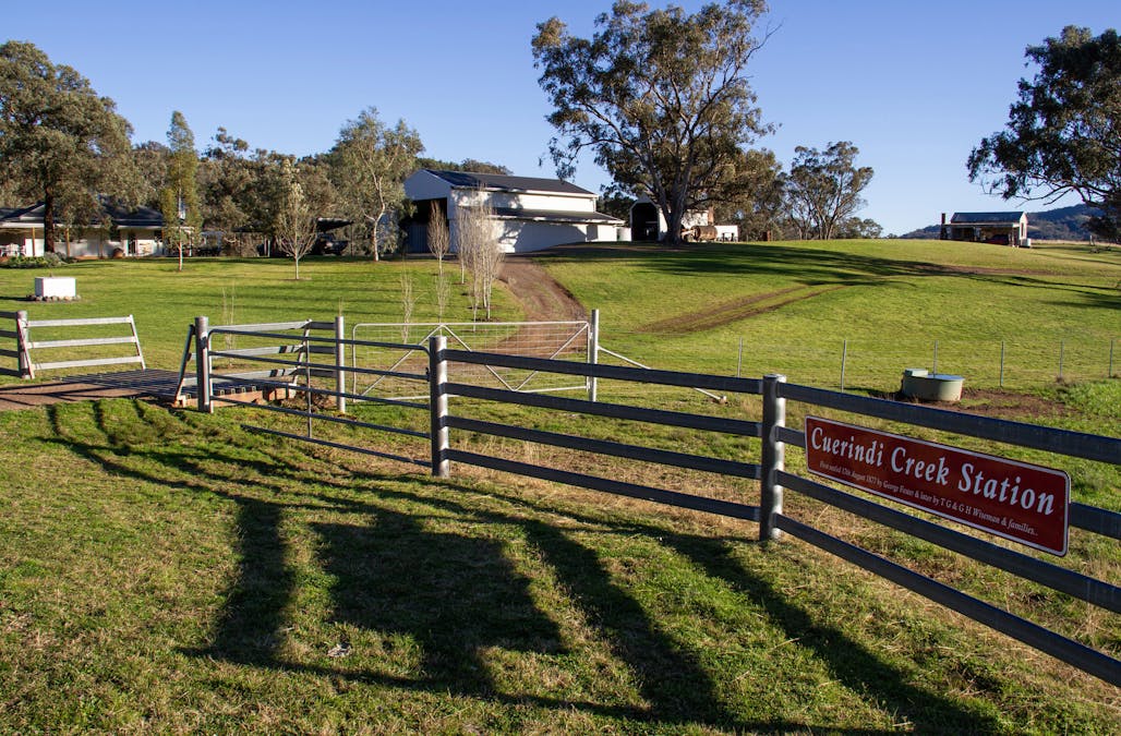 3953 Halls Creek Road, Manilla, NSW, 2346 - Image 2