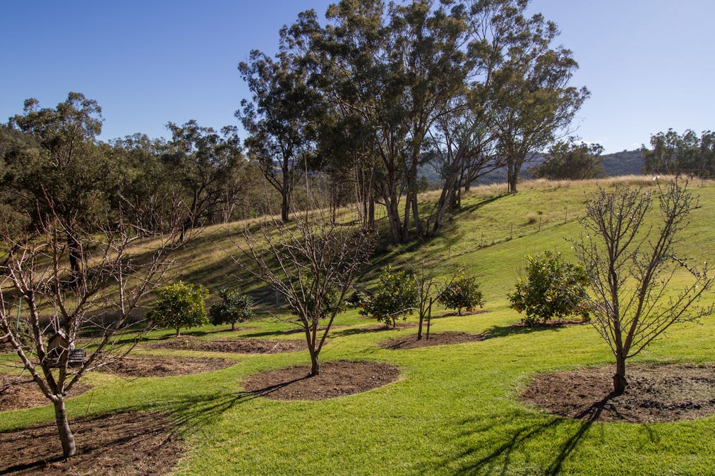 3953 Halls Creek Road, Manilla, NSW, 2346 - Image 20