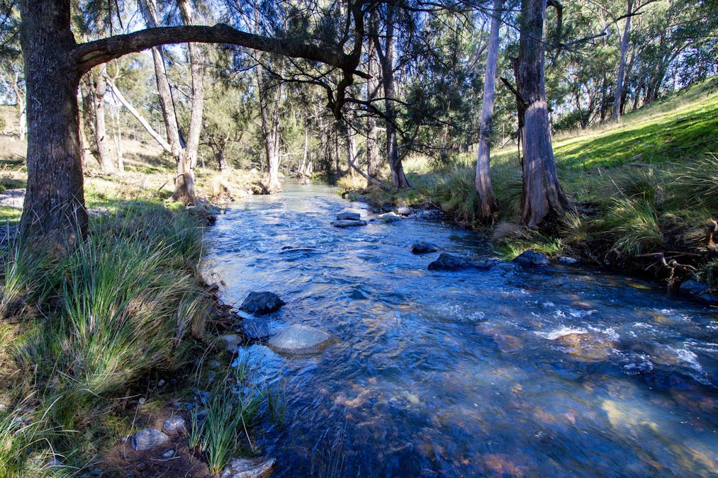 3953 Halls Creek Road, Manilla, NSW, 2346 - Image 33