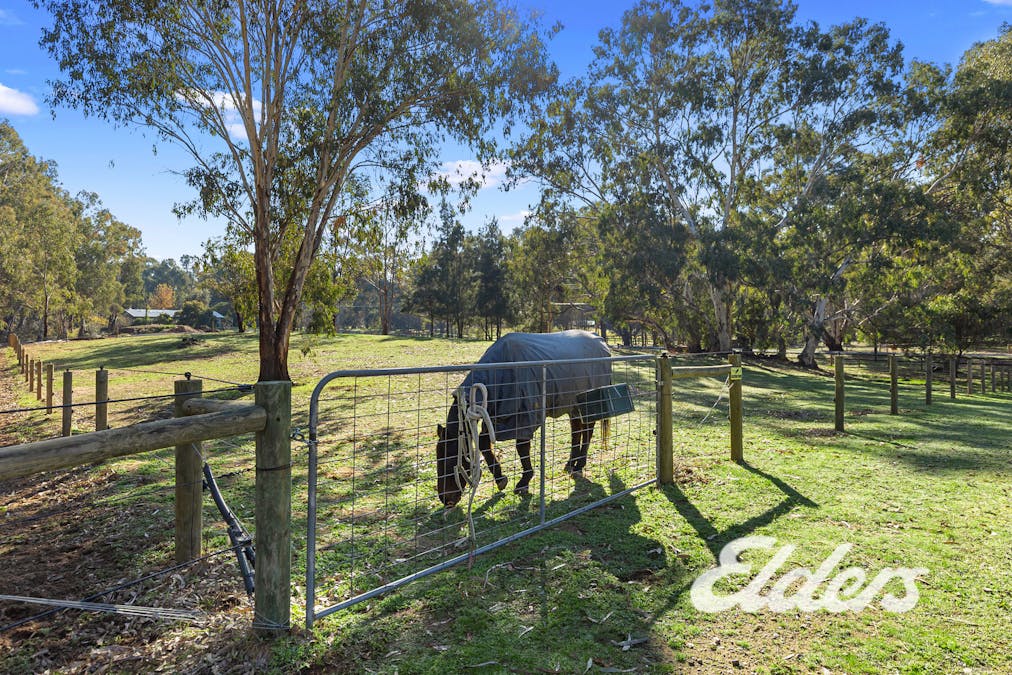 69-73 Pimpala Crescent, Mulwala, NSW, 2647 - Image 4