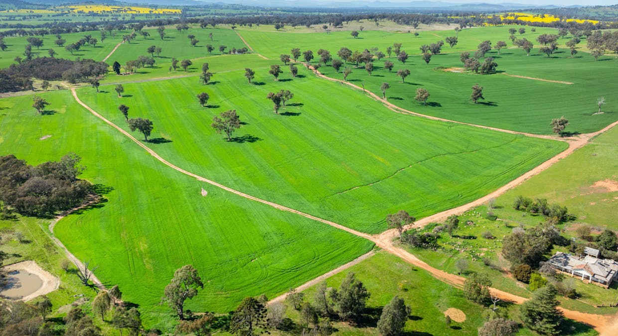 1726 Howlong Burrumbuttock Road, Burrumbuttock, NSW, 2642 - Image 6