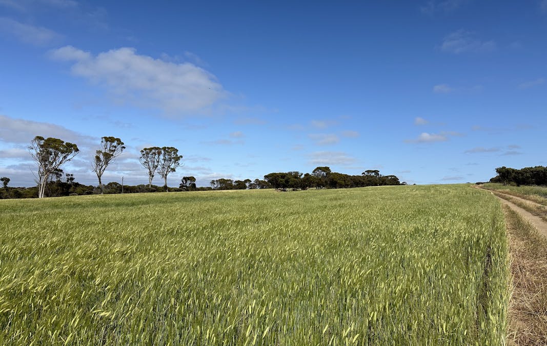 2501/Hyden Norseman Road, Hyden, WA, 6359 - Image 10