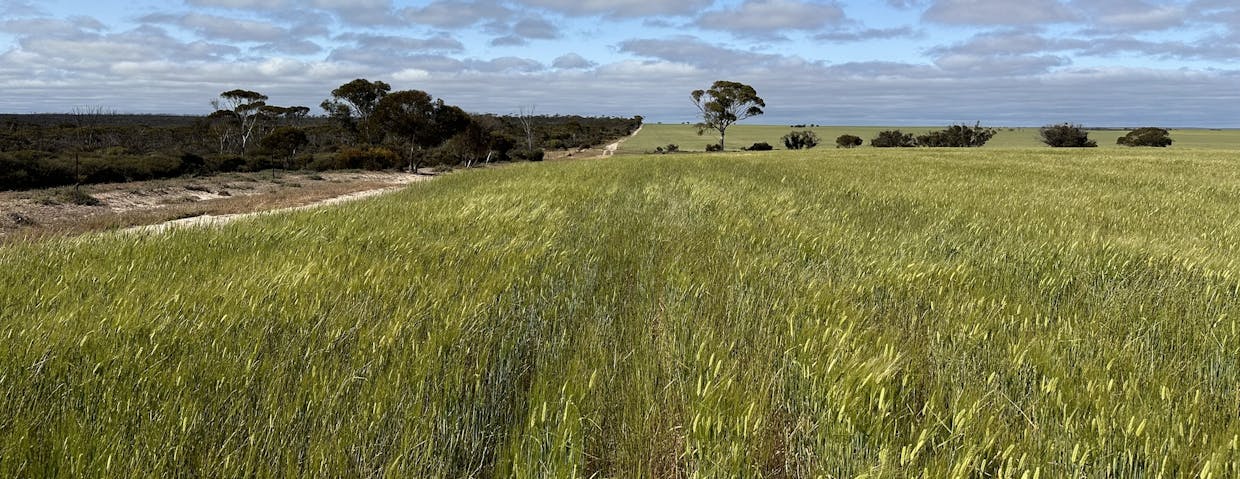 2501/Hyden Norseman Road, Hyden, WA, 6359 - Image 15