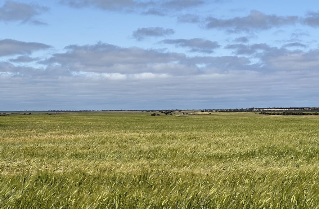 2501/Hyden Norseman Road, Hyden, WA, 6359 - Image 16