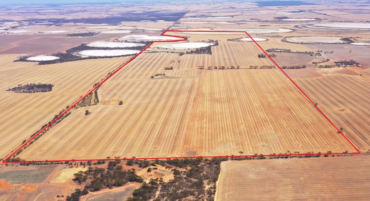1053 Burns Road, Lake Grace, WA, 6353 - Image 2